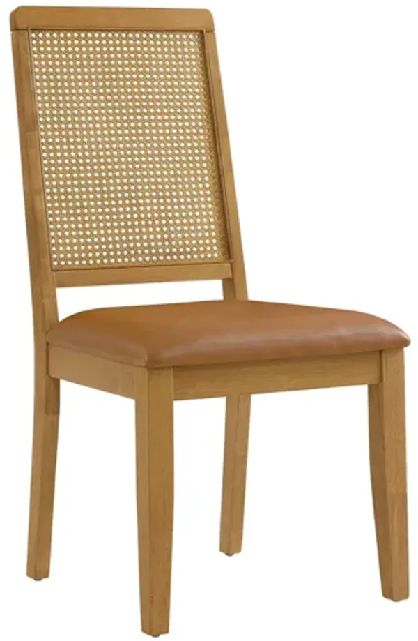 Arlo Vegan Leather Upholstered Faux Rattan and Wood Dining Side Chairs