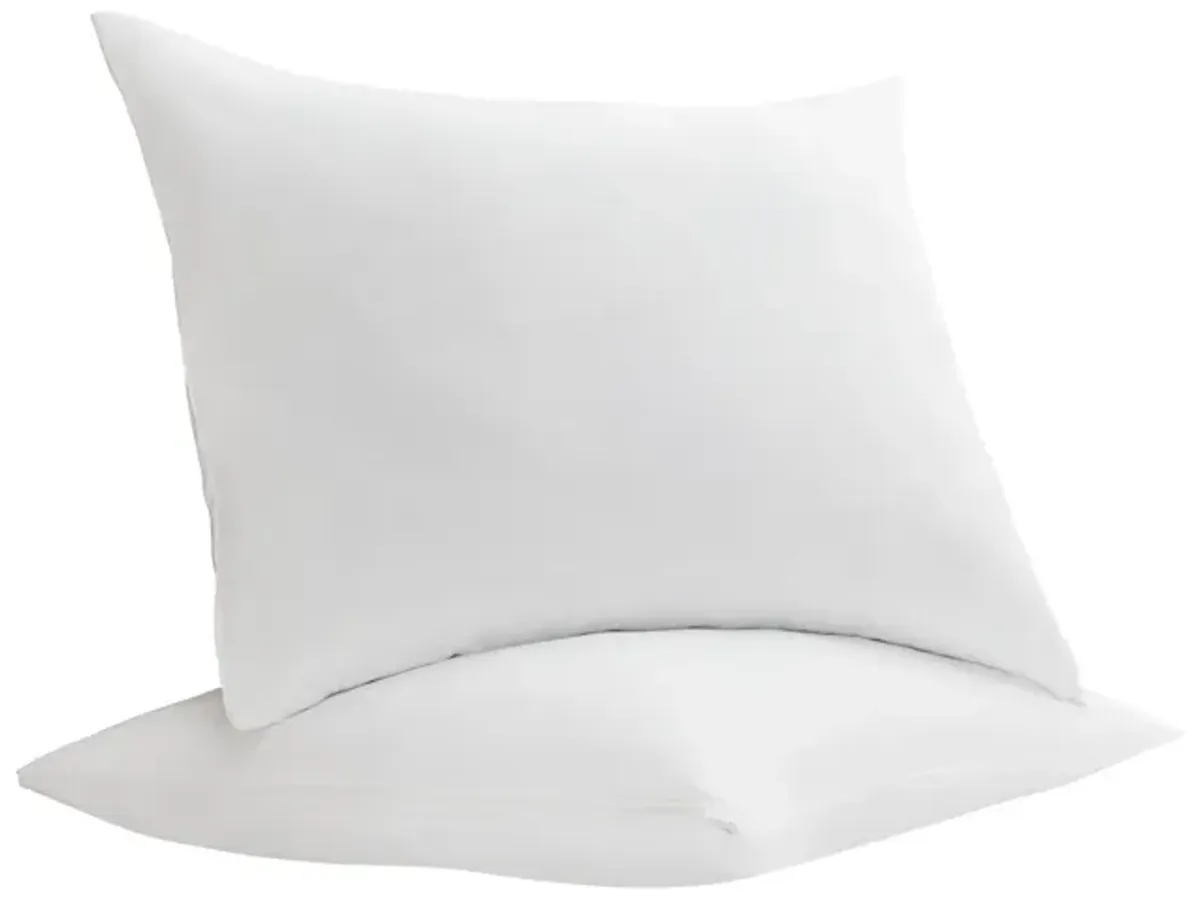 Molecule Pillow 2-Pack