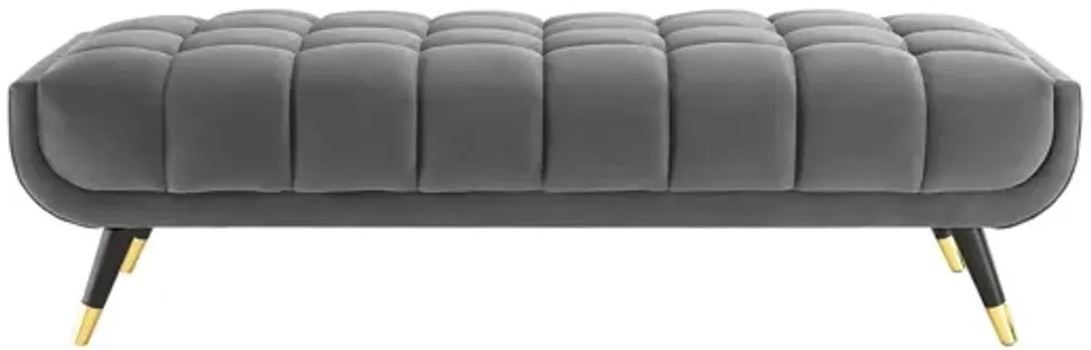Adept 60" Performance Velvet Bench by Modway
