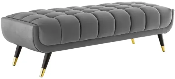 Adept 60" Performance Velvet Bench by Modway