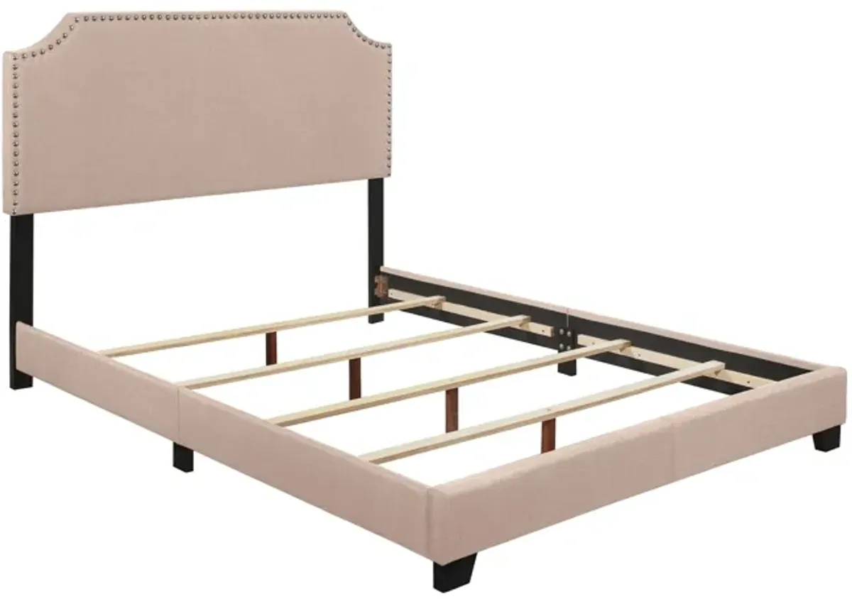 Francis Queen Bed