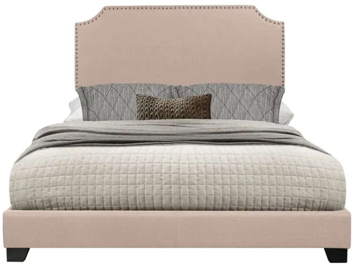 Francis Queen Bed