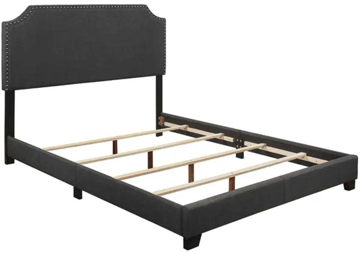 Francis King Bed