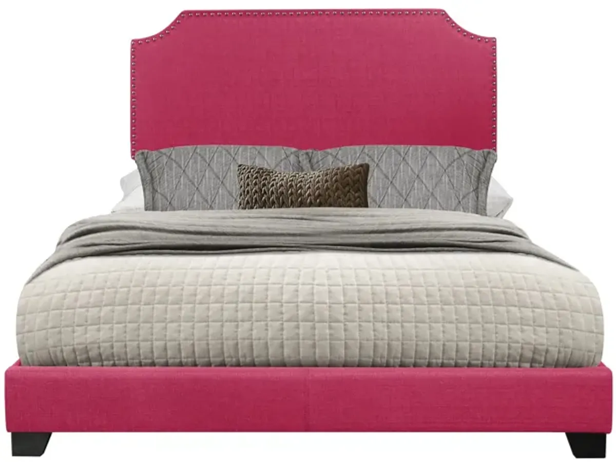 Francis Queen Bed