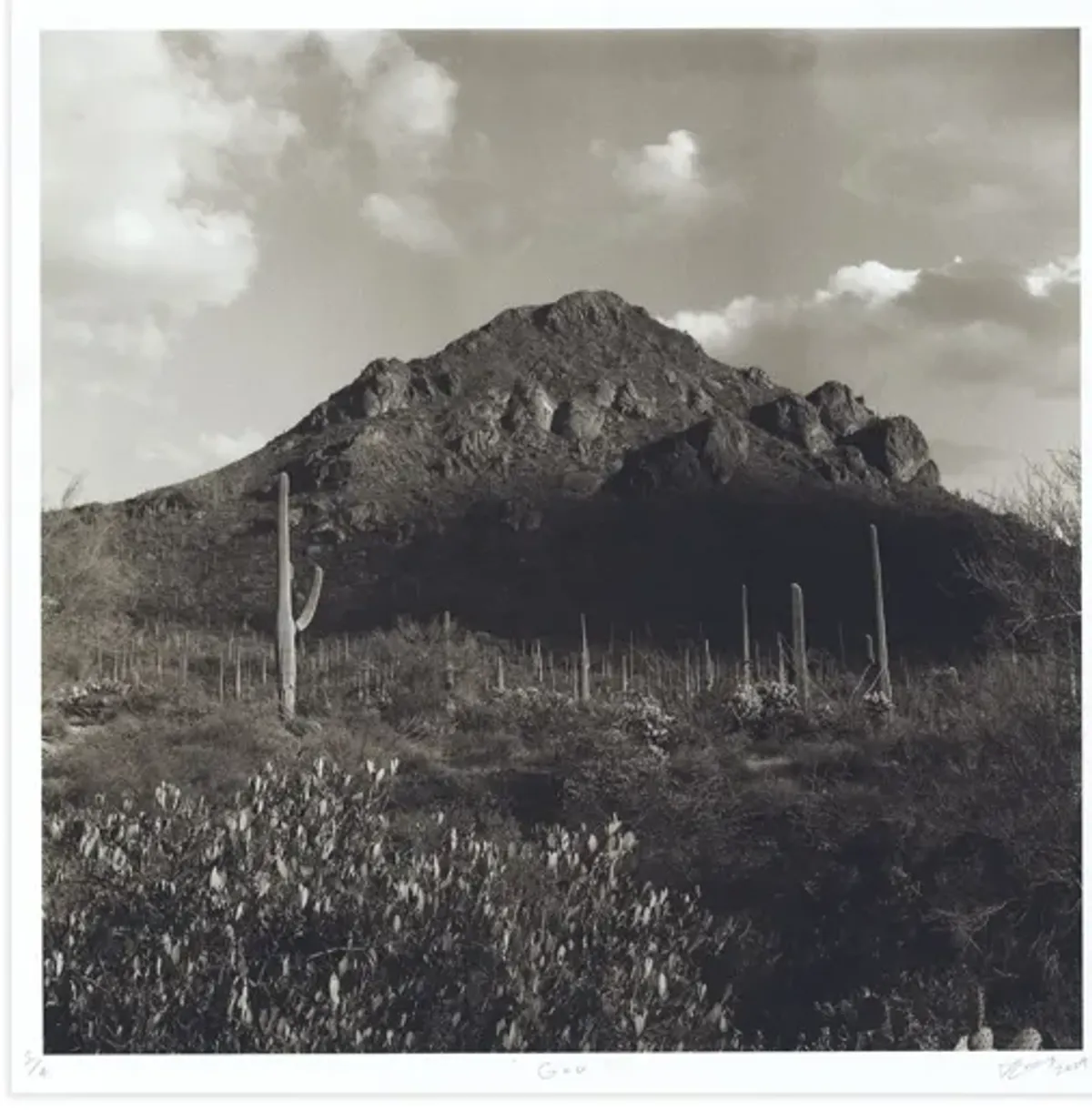 Lookout: God by Danya Ensing