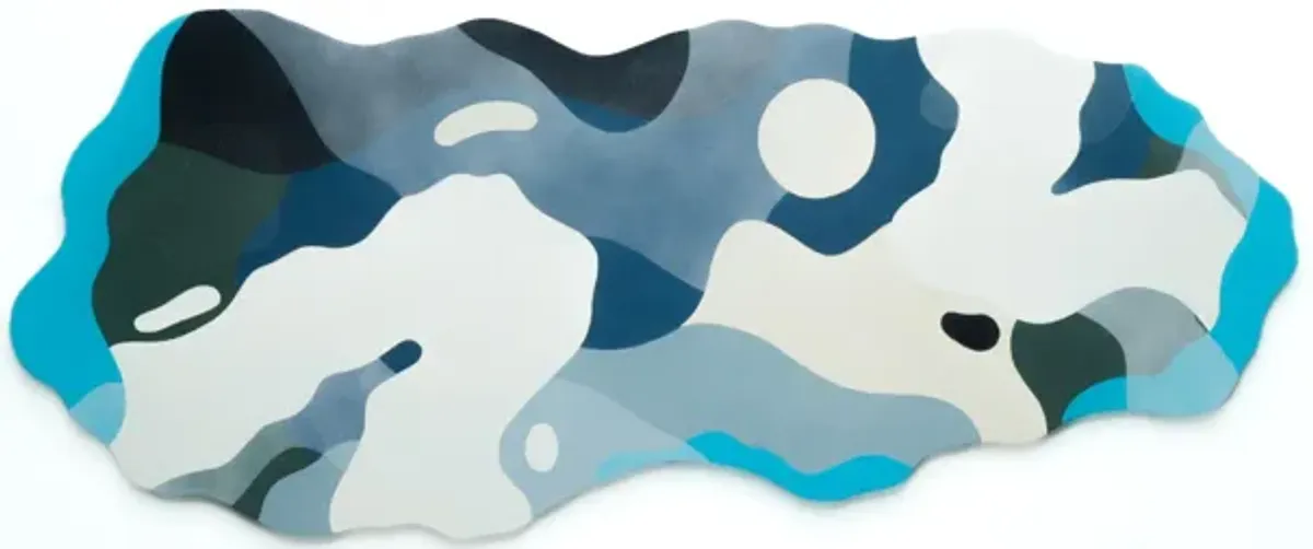 Blue-Footed Sula by Dustin Cook