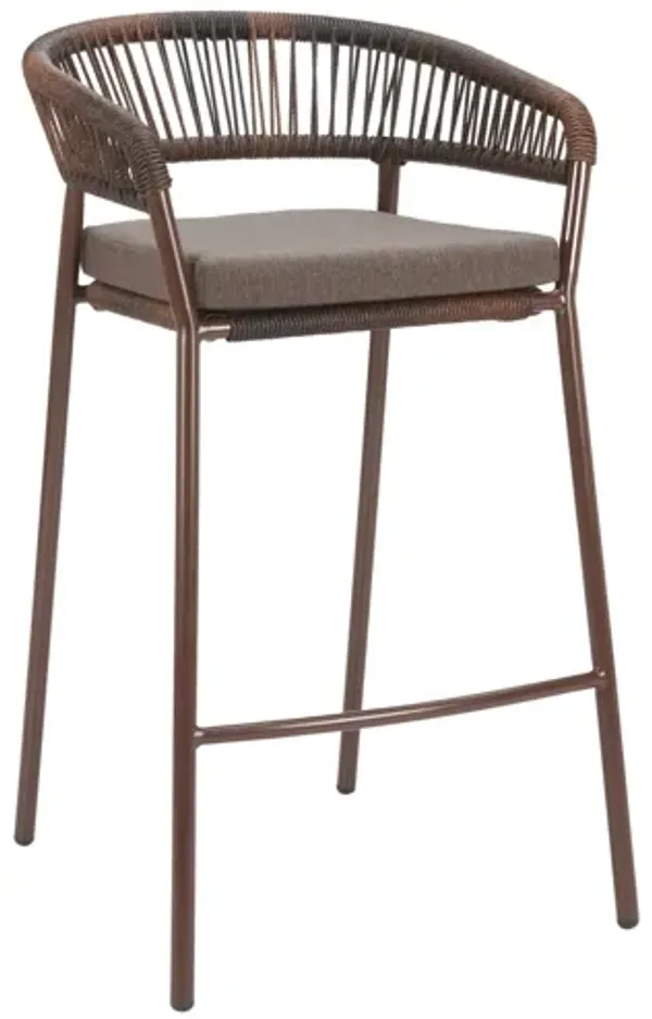 Skye Barstool (Set of 2) Brown