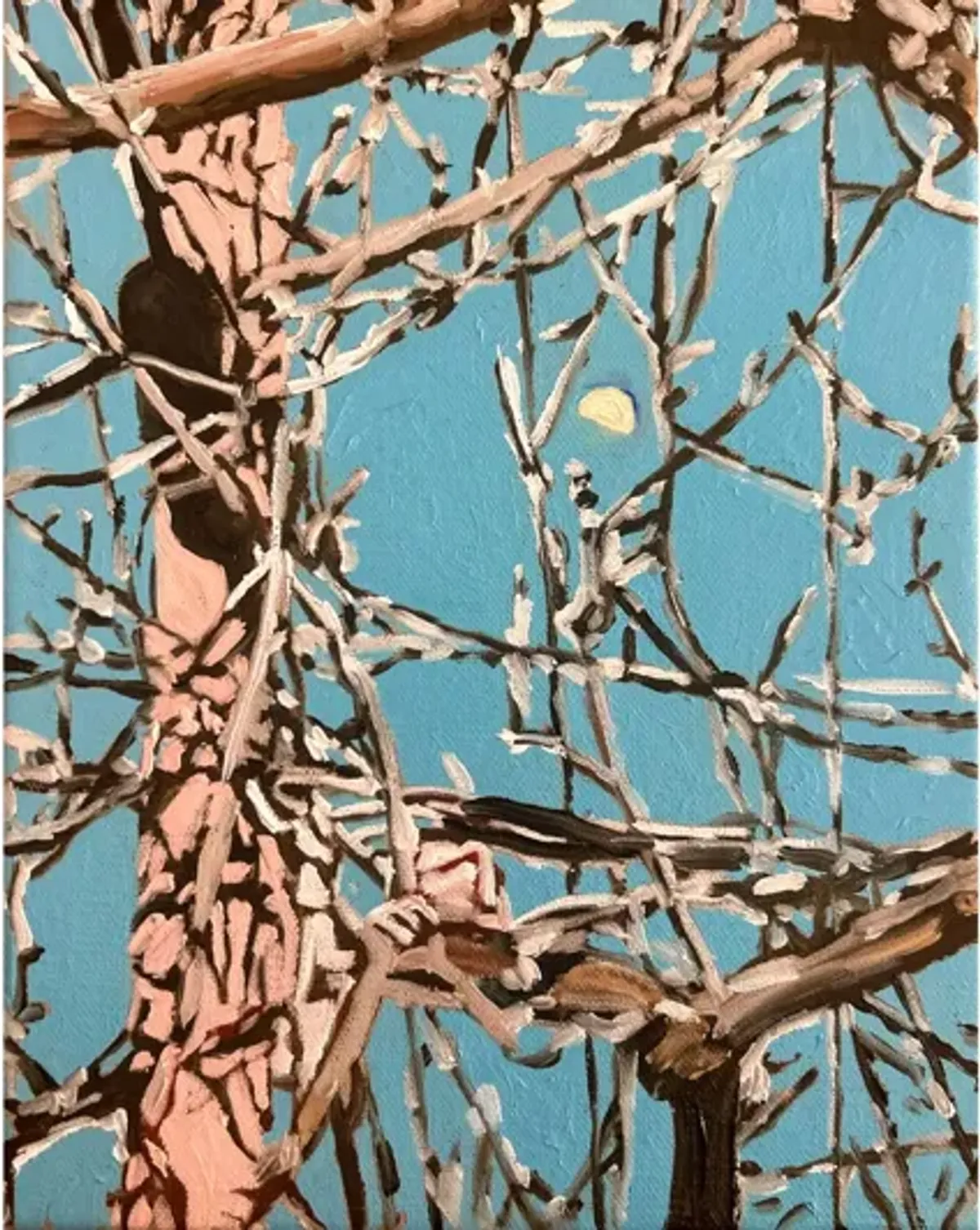 "Gibbous Moon in Cancer through Tree Branches and Power Lines" by Kaysi Grimes