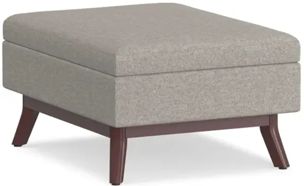 Owen Coffee Table Storage Ottoman - Cloud Grey