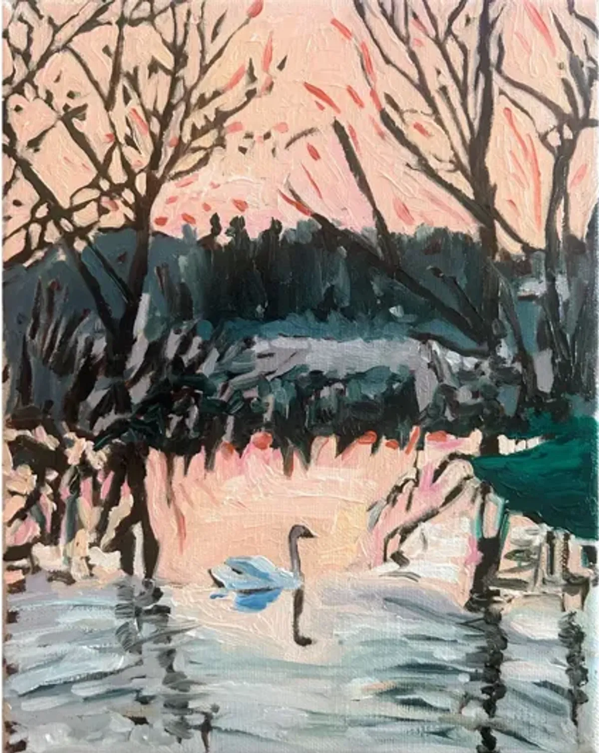 “Swan in the Park” by Kaysi Grimes
