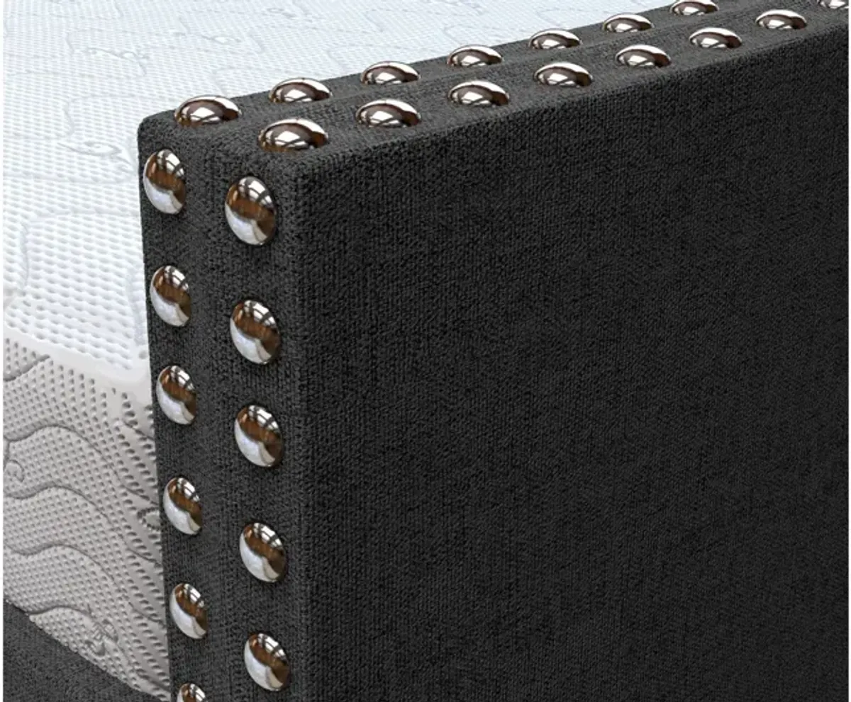 Mandrake Daybed with Trundle - Black