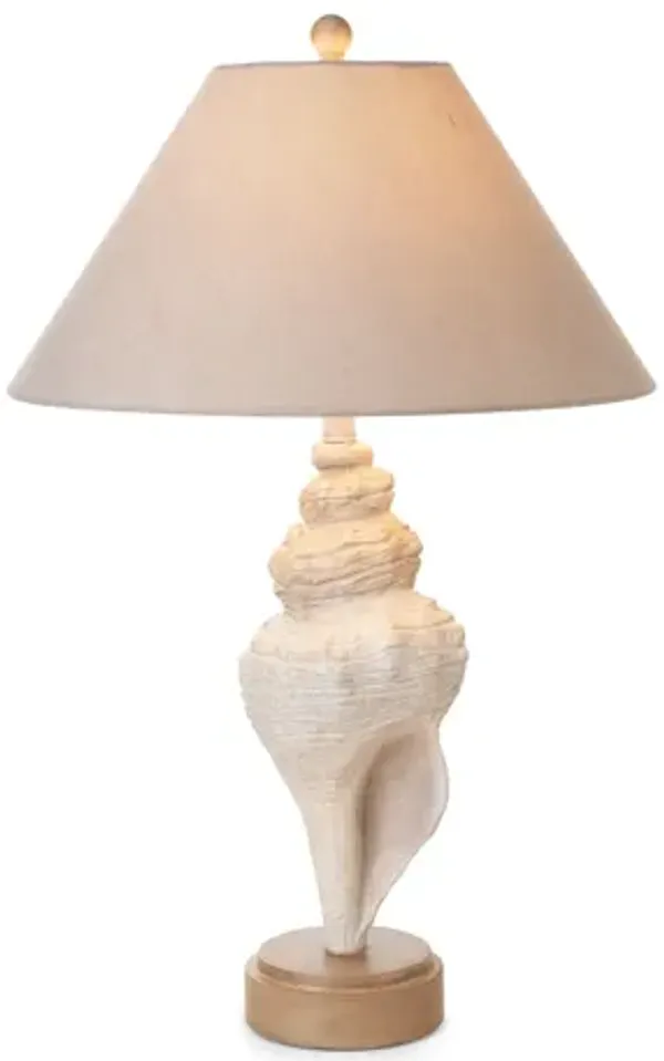 Baldweyn Conch 30" Seashell Coastal Table Lamps, (Set of 2)