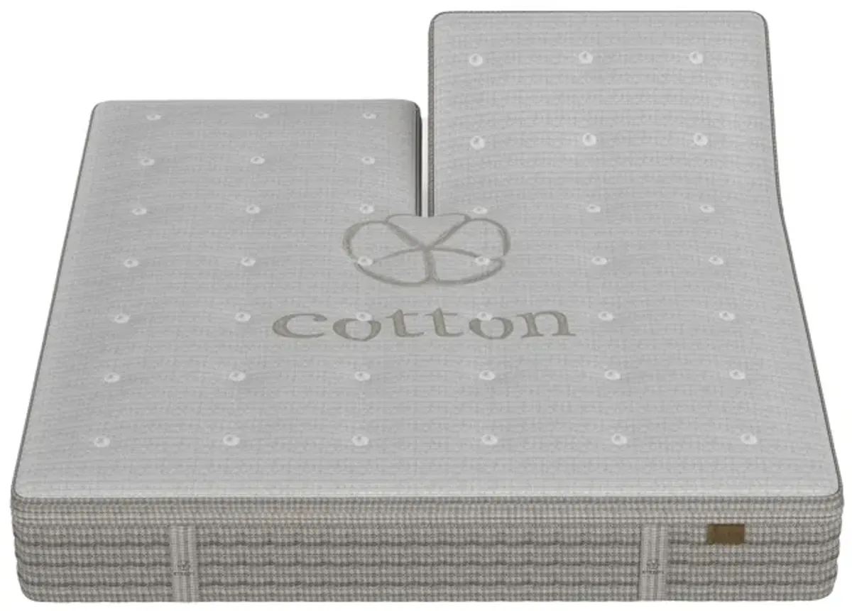 King Koil Natural Crest Lux Plush Blisstop Innerspring Split Head Queen 16.5" Mattress