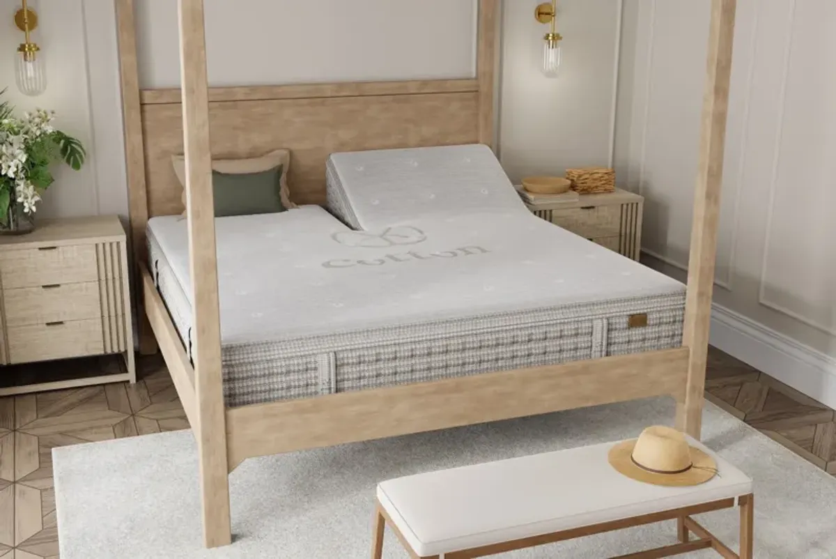 King Koil Natural Crest Lux Plush Blisstop Innerspring Split Head Queen 16.5" Mattress