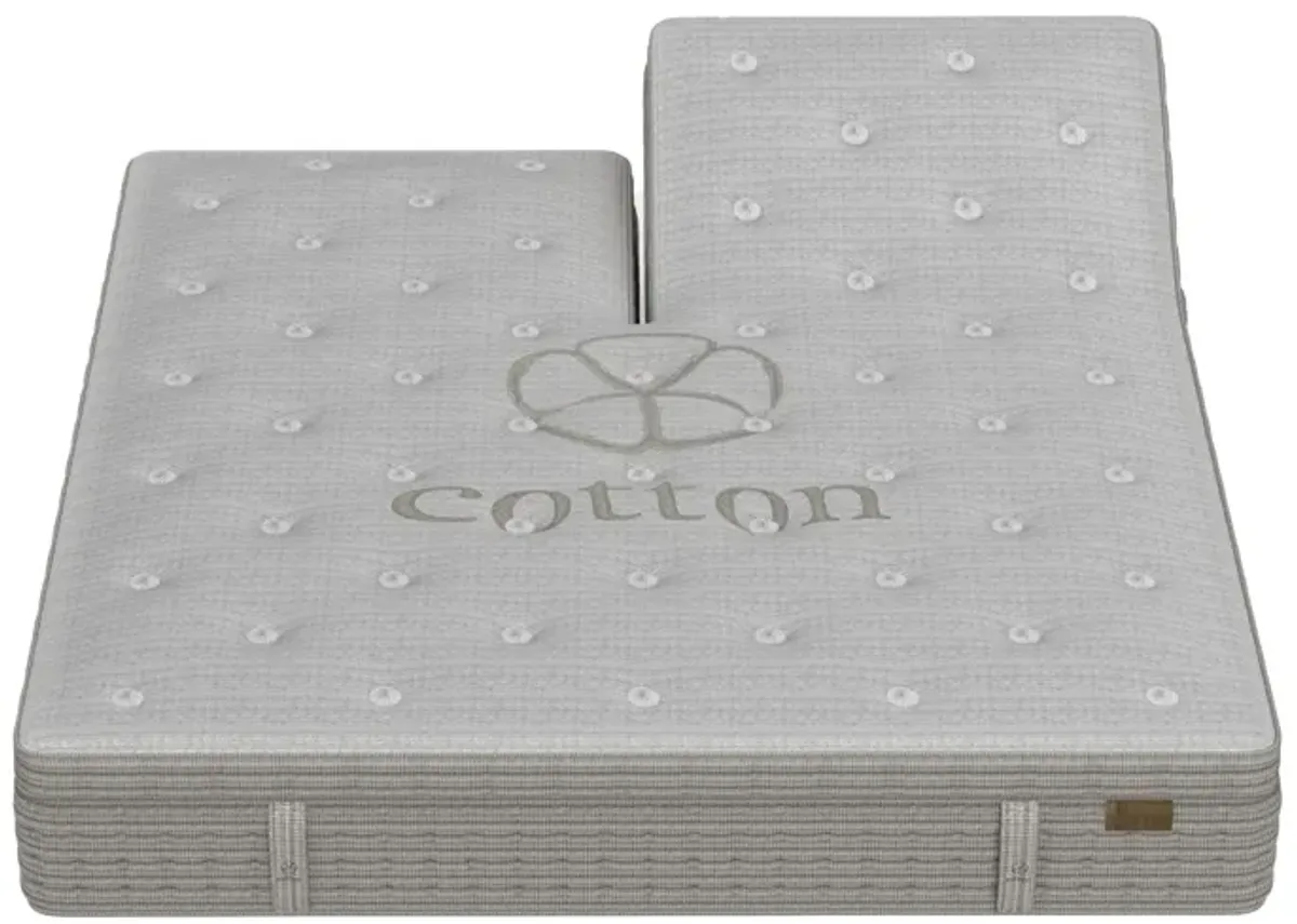 King Koil Natural Legacy Luxury Firm Eurotop Innerspring Split Head Queen 15.5" Mattress