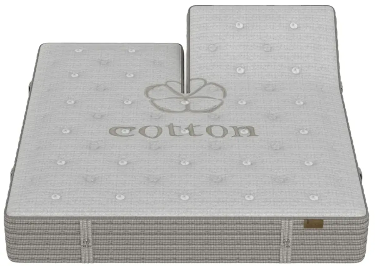 King Koil Natural Origin Medium Innerspring Split Head Queen 14.5" Mattress