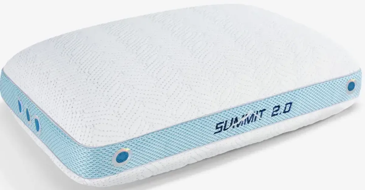 Bedgear® Summit Performance® Pillow 2.0