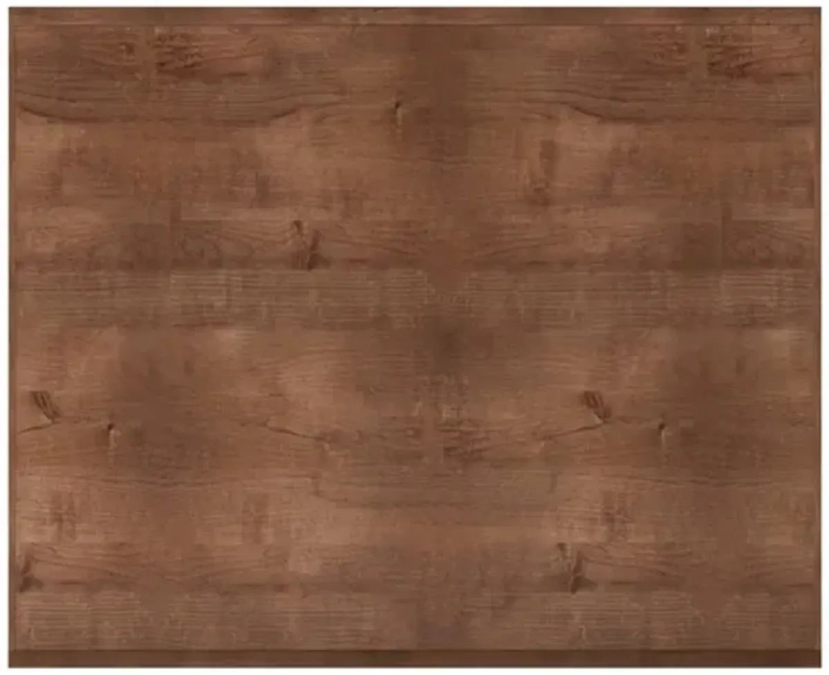 Sausalito 49 inch Bookcase - Whiskey