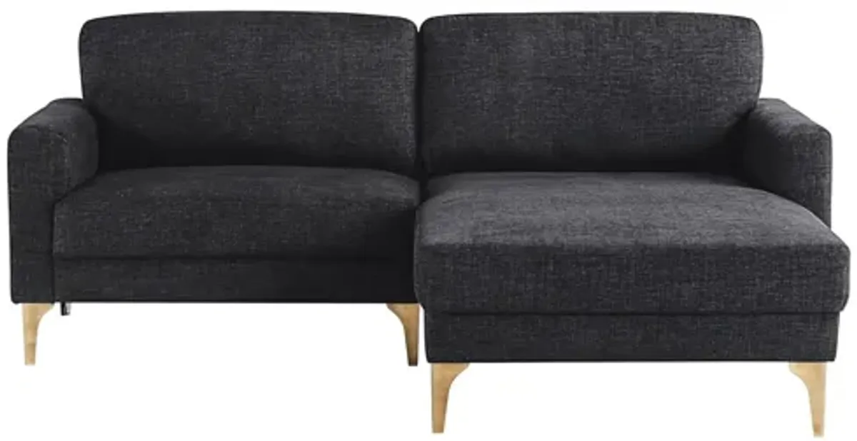 Studio Living Sectional Sofa - Black