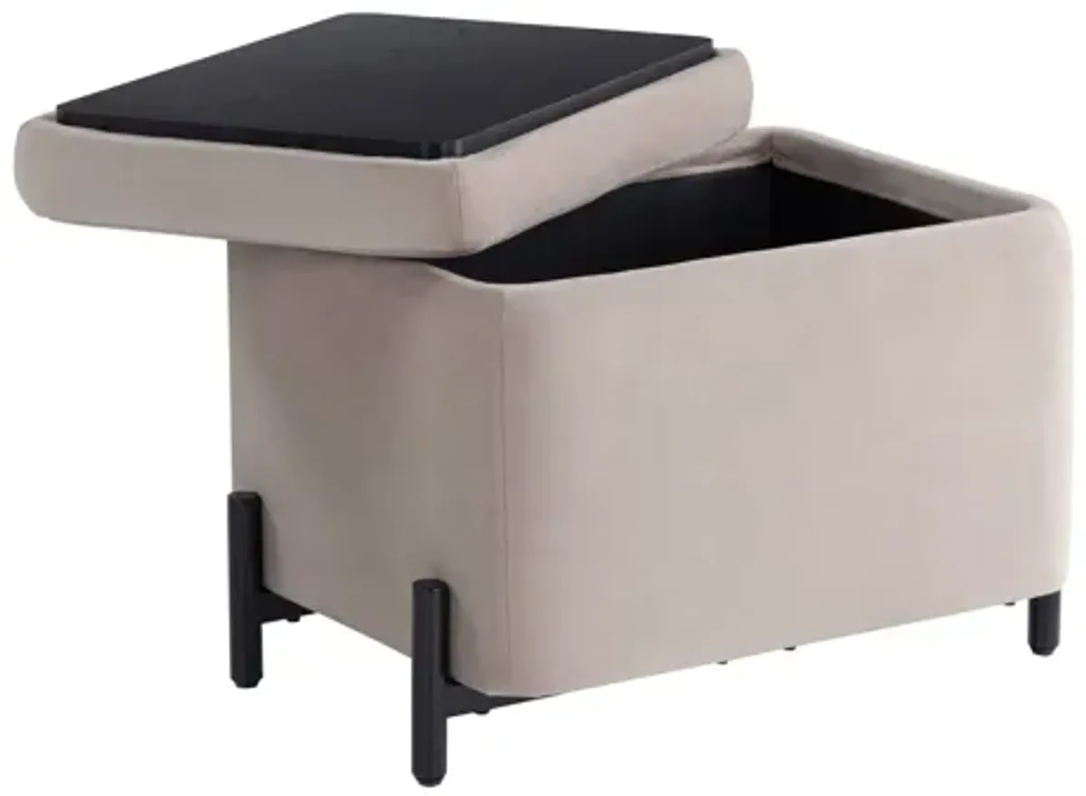 Kiley Small Storage Ottoman - Taupe