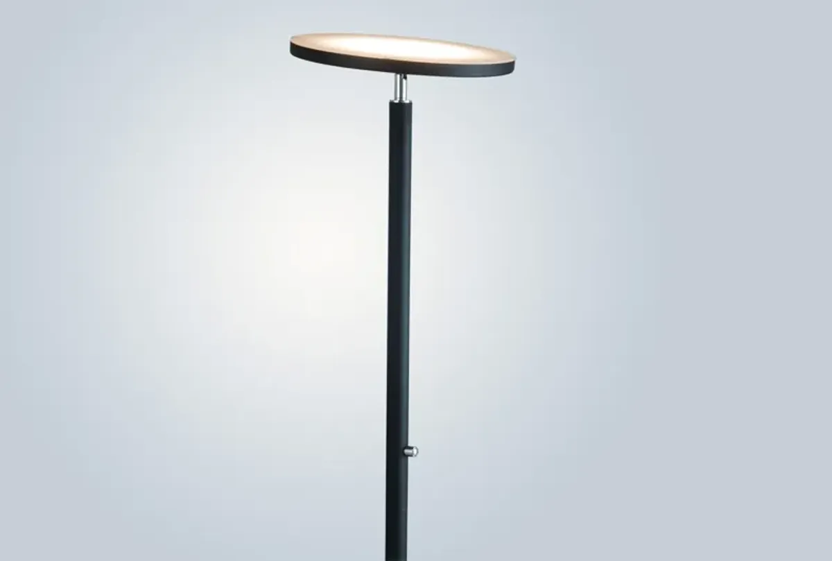 Monet Floor Lamp
