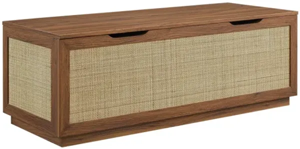 Soma 47" Rattan Storage Bench by Modway