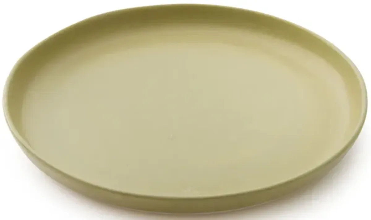 Canvas Plate Cilantro