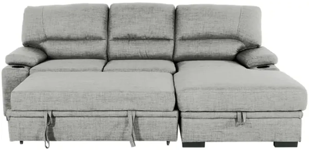Gallo 102" 2-Piece Sofa Bed with Storage & Cupholder