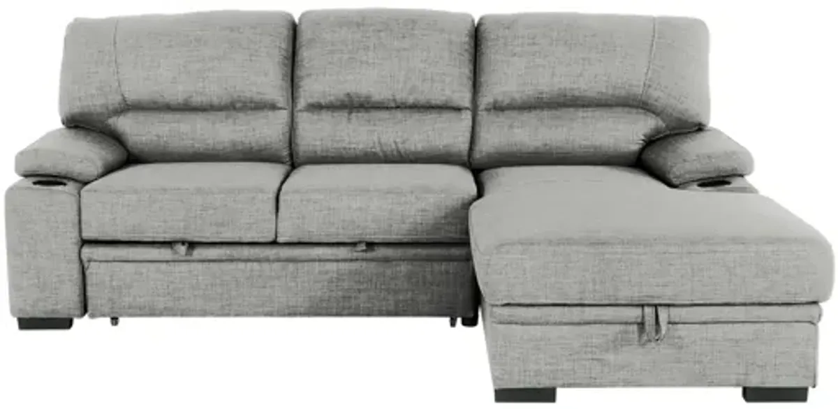 Gallo 102" 2-Piece Sofa Bed with Storage & Cupholder
