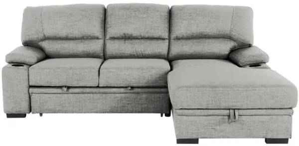 Gallo 102" 2-Piece Sofa Bed with Storage & Cupholder