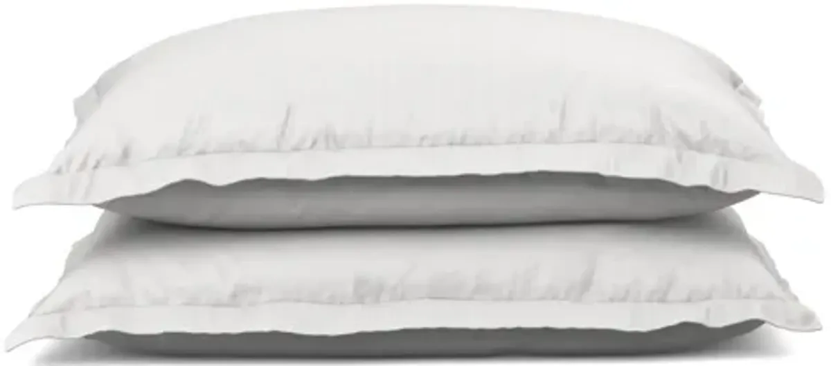 Queen Pillow Sham Set + Soft Touch/Bamboo - White / White