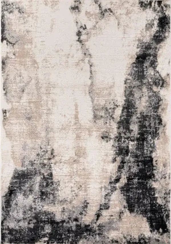 Cairo   5'3" X 7'3" Area Rug