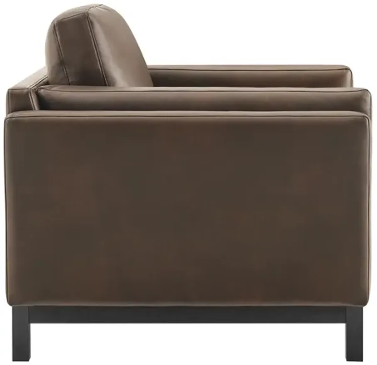Roscoe Espresso Armchair by Modway