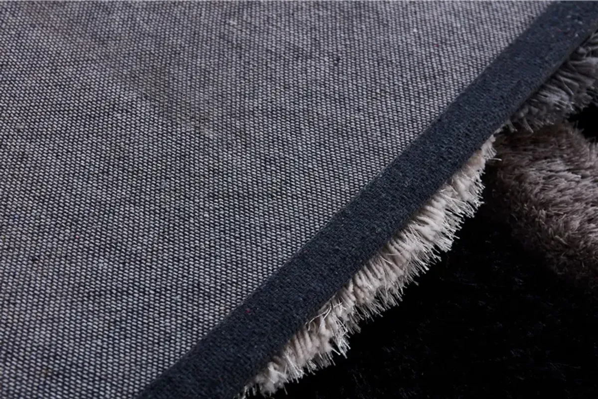 Mateos Shag 3'6 X 5'6 Area Rug
