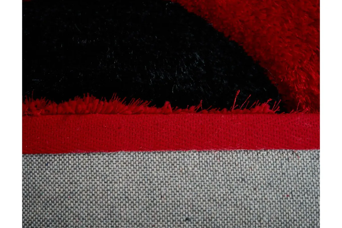 Mateos Shag 3'6 X 5'6 Area Rug