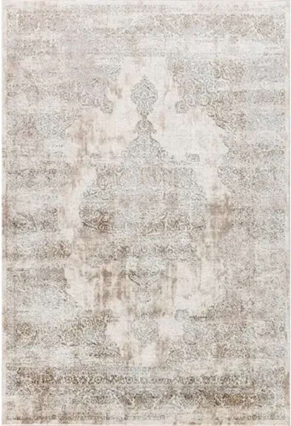 Omari 5'3'' X 7'7'' Area Rug