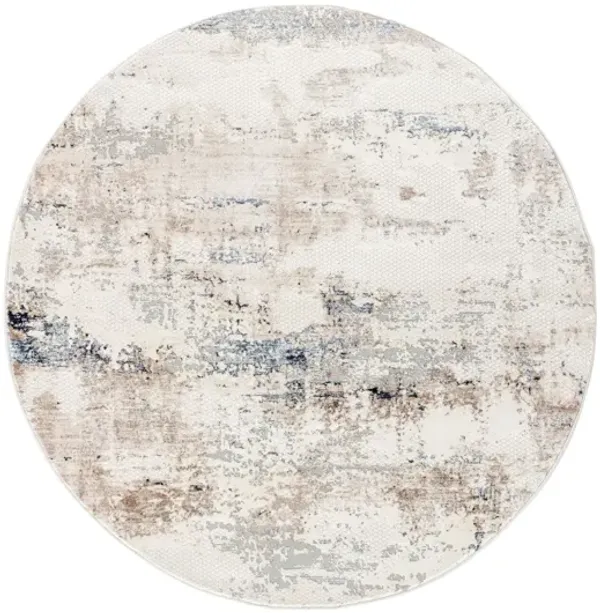 Omari 7'11" X 7'11" Round Rug