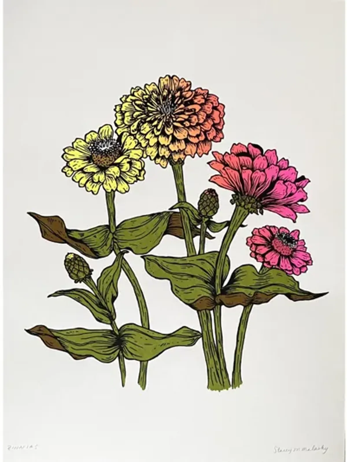 Zinnias by Stacey Malasky