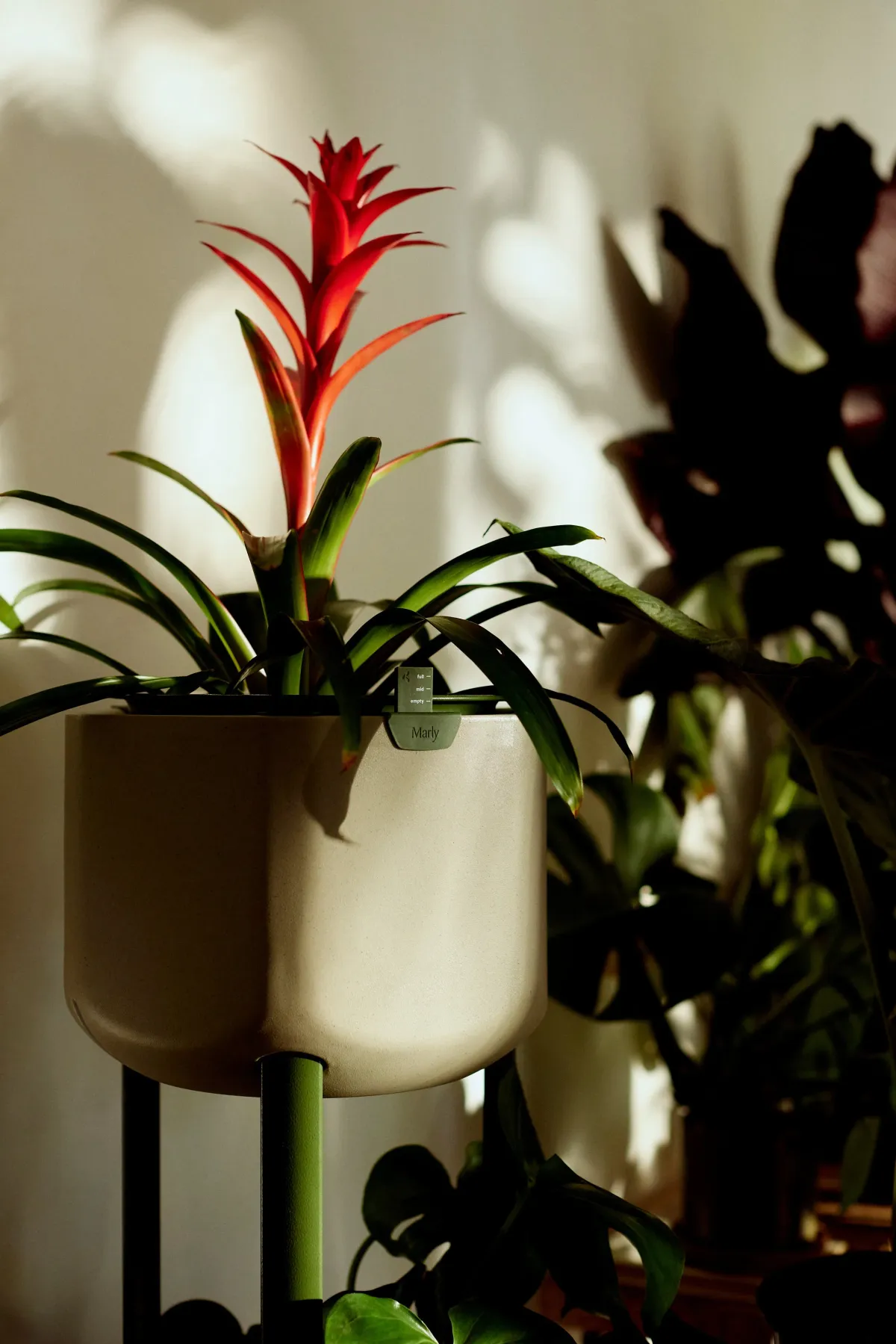 Small Self-Watering Planter - Marly Garden - Friends of Heller Sage Green / Legs for Stacking