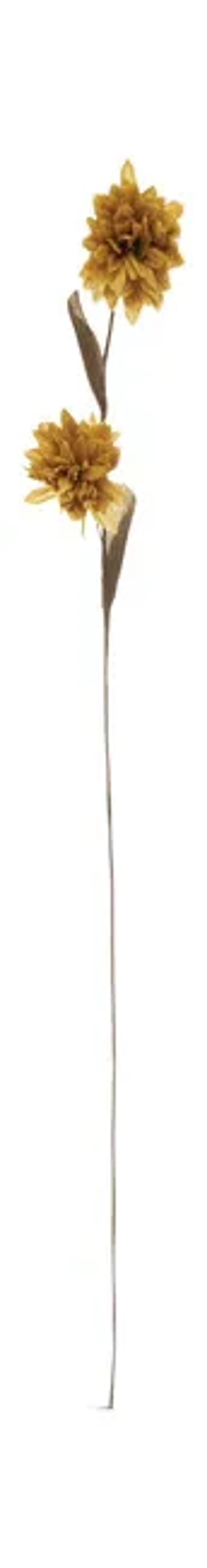 Chrysanthemum Paper Stem
