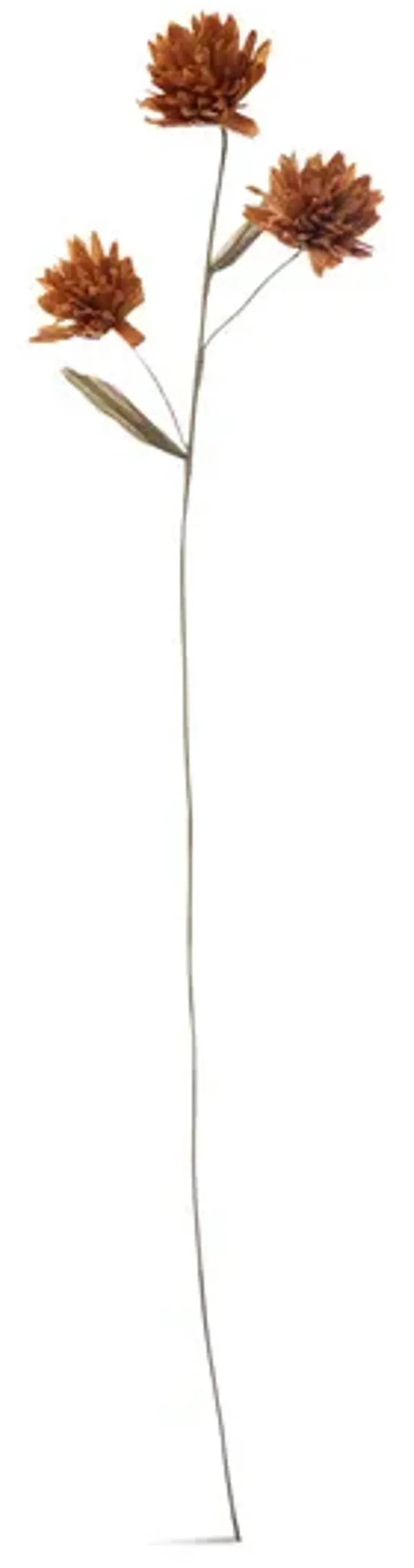 Chrysanthemum Paper Stem