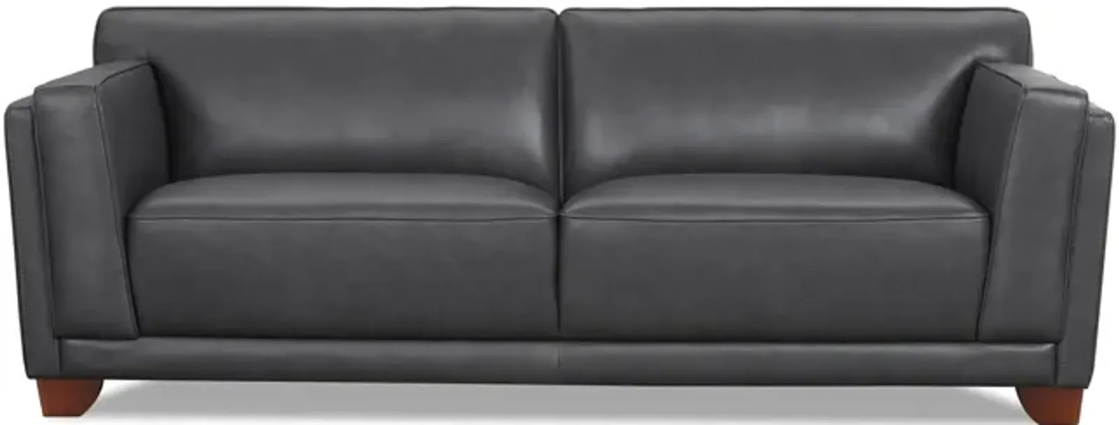 Remy Leather Sofa