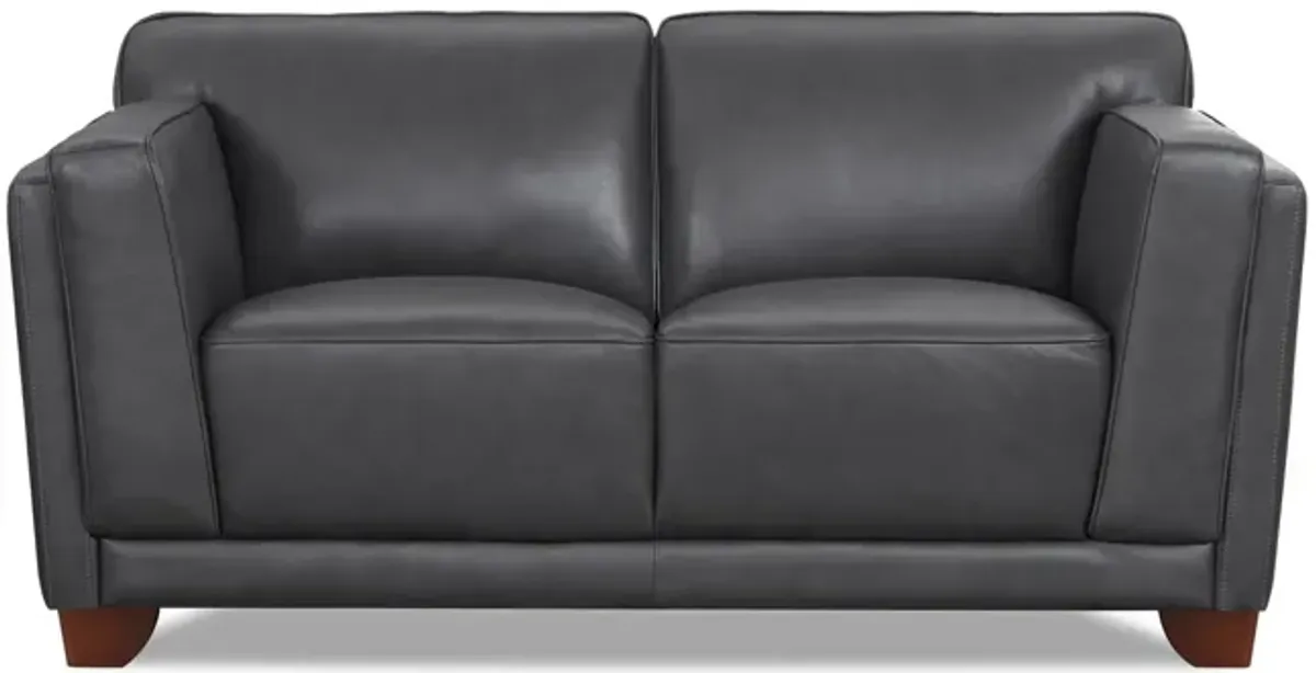 Remy Leather Loveseat