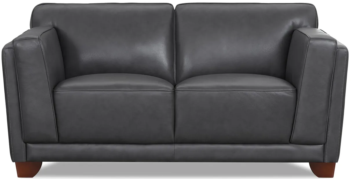 Remy Leather Loveseat