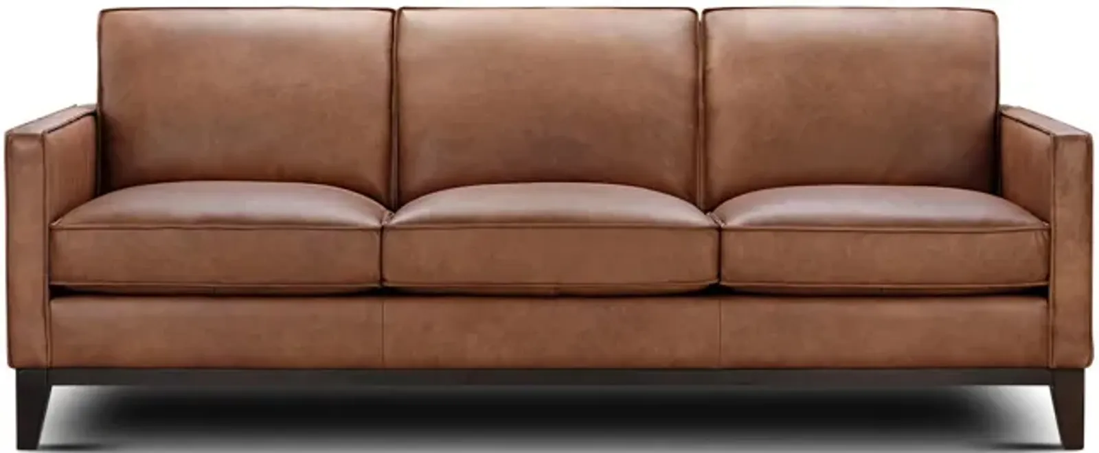 Thorpe III Leather Sofa