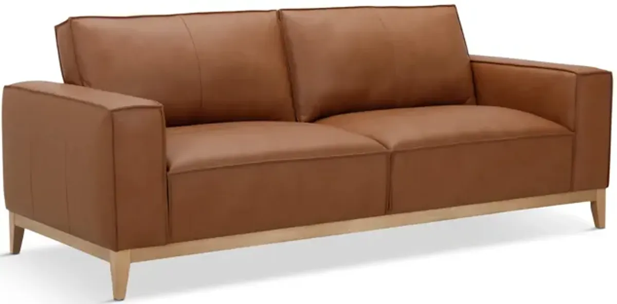 Camdon Leather Sofa