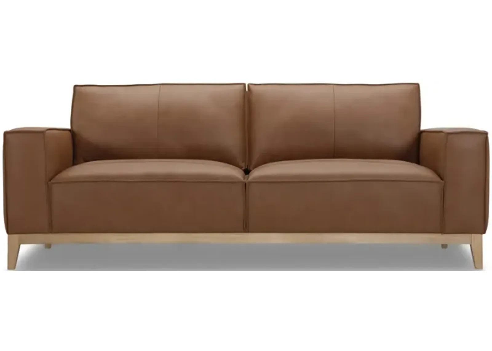 Camdon Leather Sofa