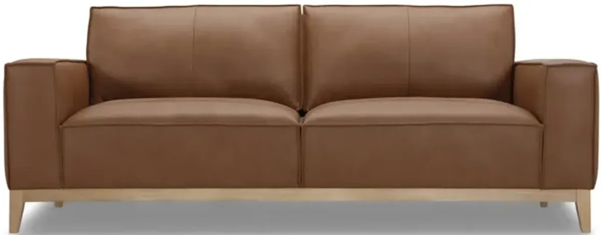 Camdon Leather Sofa