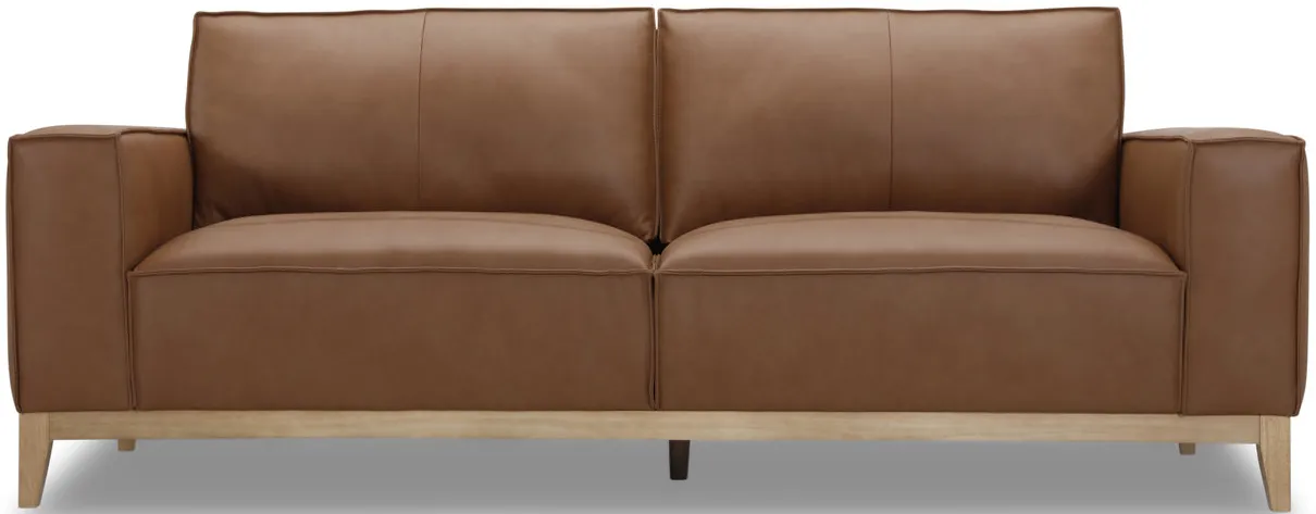 Camdon Leather Sofa