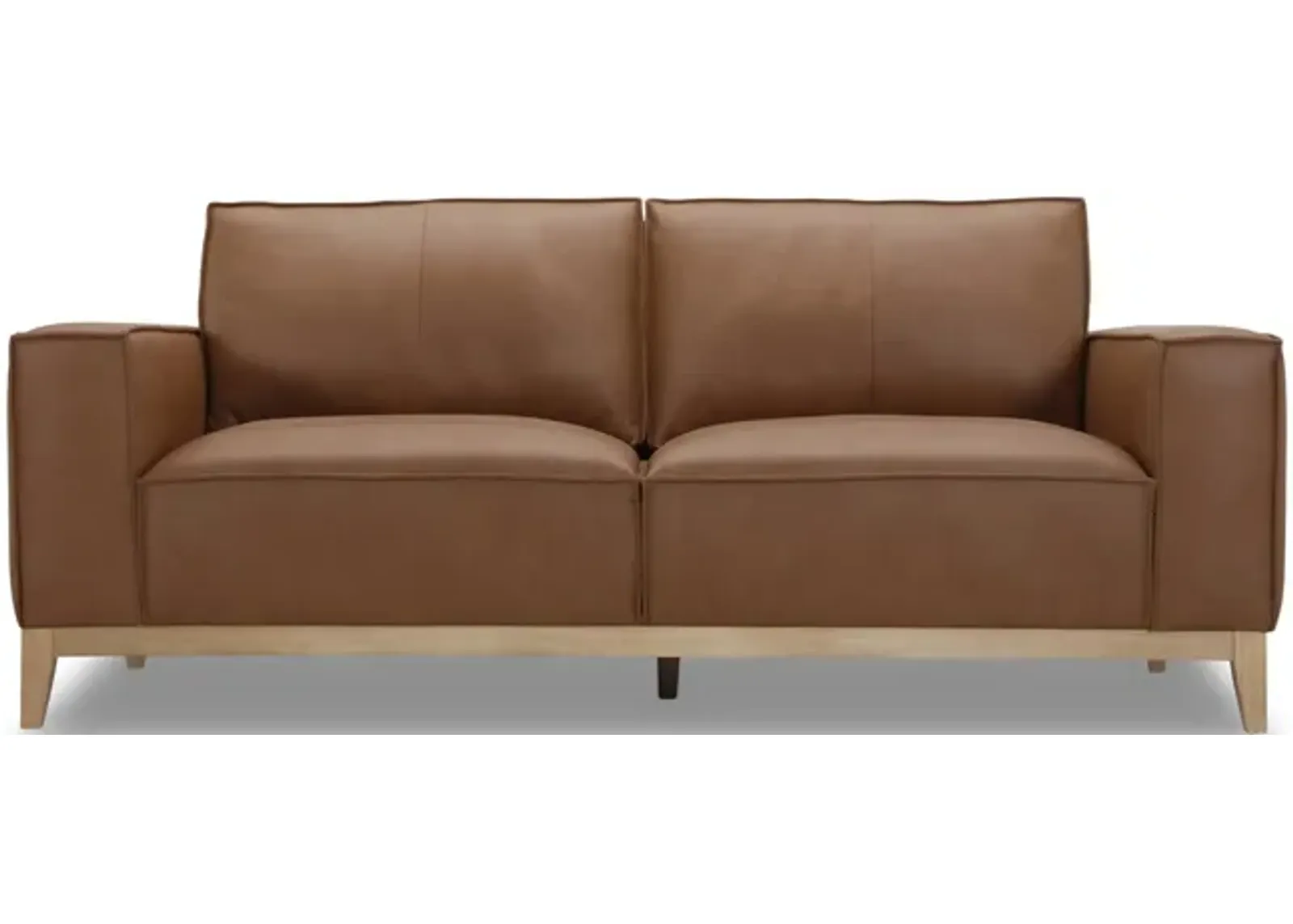 Camdon Leather Loveseat